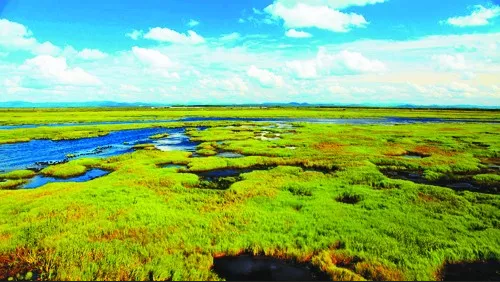 藍天保衛戰(zhàn) 我是行動者